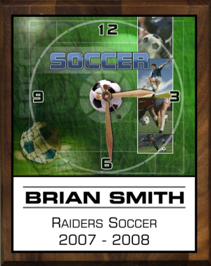 storeinfo/graphics/medium/PC810-SO