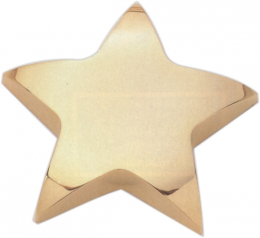 107 Star Paperweight