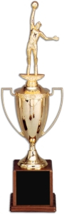 Cup on Walnut - 310C