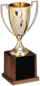 Cup Trophy - 391C
