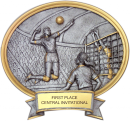 Female Volleyball