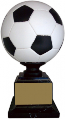 15" Soccer Trophy