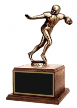 Fantasy Football Trophy
