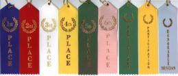  Placing Ribbon