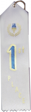 1st Place