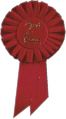 2nd Place Rosette