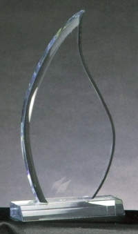 4 1/4 x 9-inch "Flame" Acrylic Award