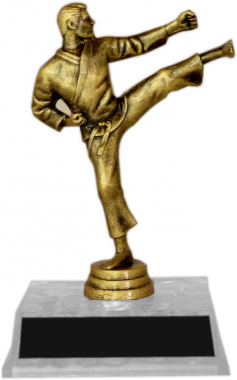 7-inch Karate "Competitor" Trophy