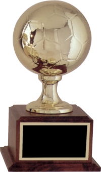 Fantasy Soccer Trophy
