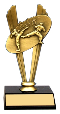 Karate "Metal Theme Figure"