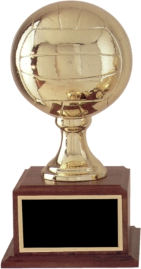 Fantasy Volleyball Trophy