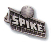 Volleyball Key Chain