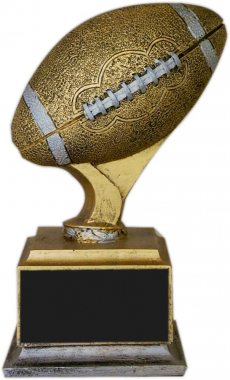 Large Football