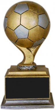Large Soccer