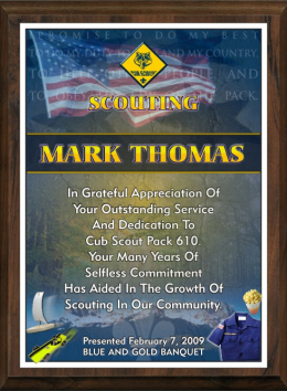 9" x 12" Scouting Appreciation Plaque