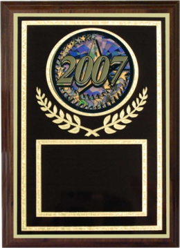 Activity Insert Plaque