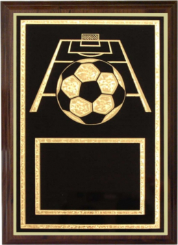 Soccer Plaque