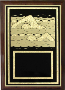 Swimming Plaque