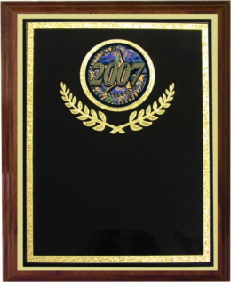 Activity Insert Plaque