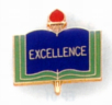 Excellence Pin - AP04