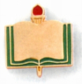 Plain (engravable) Pin - AP62