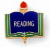 Reading Pin - AP81