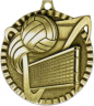2" Volleyball Medallion - G2M20-NR