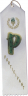 Participant - I4BSPT