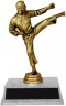 7-inch Karate "Competitor" Trophy - JDS43-8060