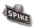 Volleyball Key Chain - PK66
