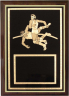Wrestling Plaque - Z46-WR