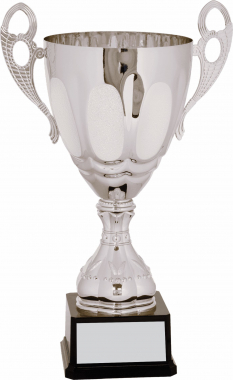 Silver-Metal Cup Trophy Series - CZCS