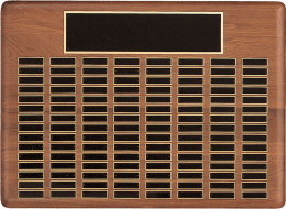 22" x 30", 120-plate Perpetual Plaque