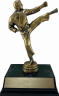 7" Karate "Competitor" Trophy - JDS43-8060